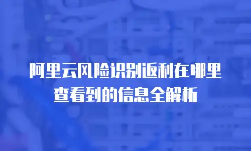 阿里云风险识别返利在哪里查看到的信息全解析