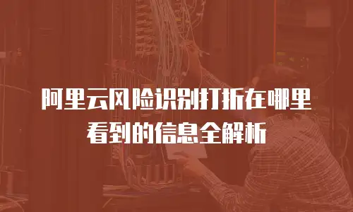 阿里云风险识别打折在哪里看到的信息全解析