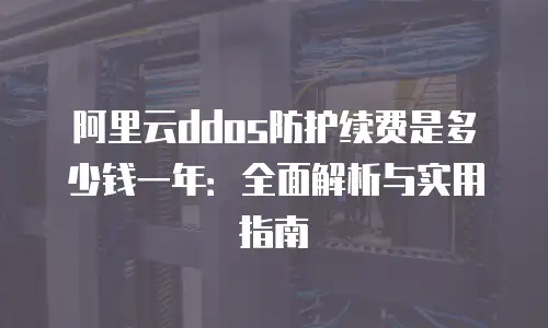 阿里云ddos防护续费是多少钱一年：全面解析与实用指南