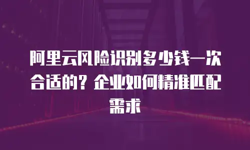 阿里云风险识别多少钱一次合适的？企业如何精准匹配需求