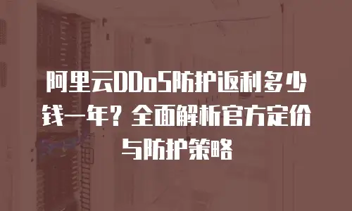 阿里云DDoS防护返利多少钱一年？全面解析官方定价与防护策略