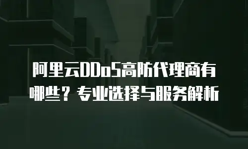 阿里云DDoS高防代理商有哪些？专业选择与服务解析