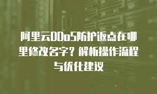阿里云DDoS防护返点在哪里修改名字？解析操作流程与优化建议