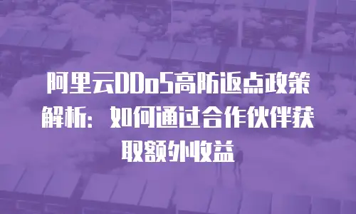 阿里云DDoS高防返点政策解析：如何通过合作伙伴获取额外收益