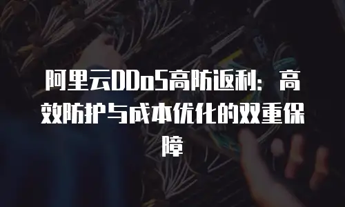 阿里云DDoS高防返利：高效防护与成本优化的双重保障