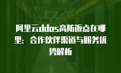 阿里云ddos高防返点在哪里：合作伙伴渠道与服务优势解析