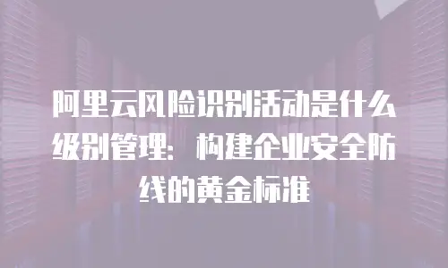 阿里云风险识别活动是什么级别管理：构建企业安全防线的黄金标准