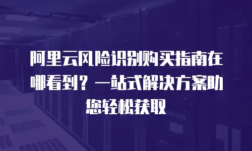阿里云风险识别购买指南在哪看到？一站式解决方案助您轻松获取