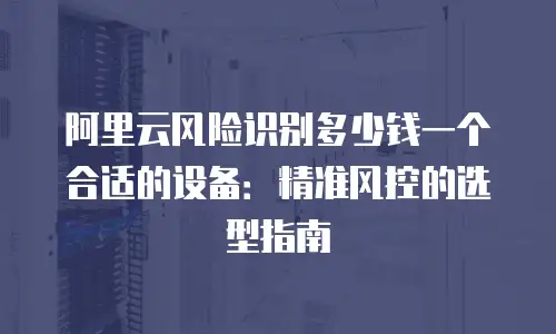 阿里云风险识别多少钱一个合适的设备：精准风控的选型指南