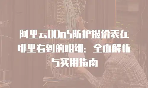 阿里云DDoS防护报价表在哪里看到的明细：全面解析与实用指南