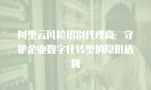 阿里云风险识别代理商：守护企业数字化转型的隐形盾牌