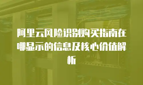 阿里云风险识别购买指南在哪显示的信息及核心价值解析