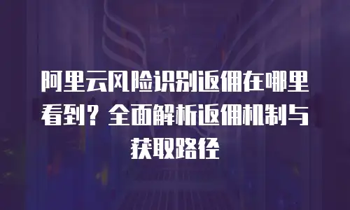 阿里云风险识别返佣在哪里看到？全面解析返佣机制与获取路径