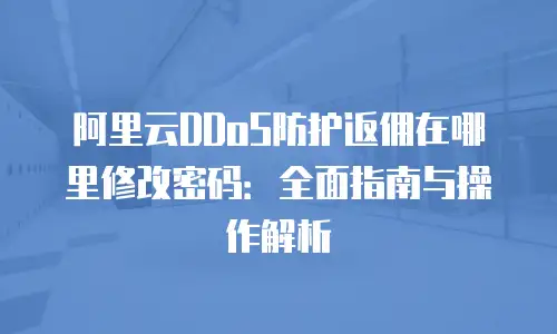 阿里云DDoS防护返佣在哪里修改密码：全面指南与操作解析