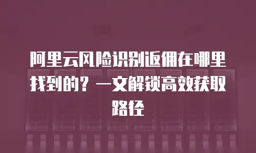 阿里云风险识别返佣在哪里找到的？一文解锁高效获取路径