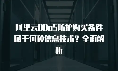 阿里云DDoS防护购买条件属于何种信息技术？全面解析
