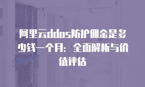 阿里云ddos防护佣金是多少钱一个月：全面解析与价值评估