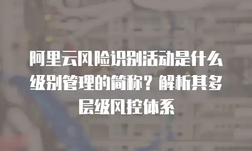 阿里云风险识别活动是什么级别管理的简称？解析其多层级风控体系