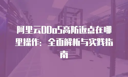 阿里云DDoS高防返点在哪里操作：全面解析与实践指南