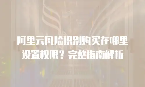 阿里云风险识别购买在哪里设置权限？完整指南解析