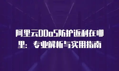阿里云DDoS防护返利在哪里：专业解析与实用指南