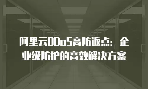 阿里云DDoS高防返点：企业级防护的高效解决方案