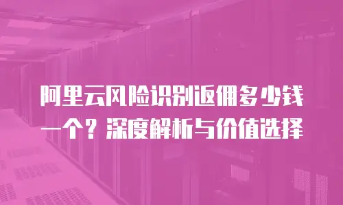 阿里云风险识别返佣多少钱一个？深度解析与价值选择