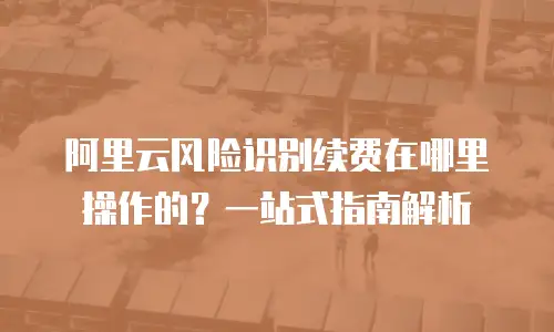 阿里云风险识别续费在哪里操作的？一站式指南解析