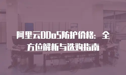 阿里云DDoS防护价格：全方位解析与选购指南