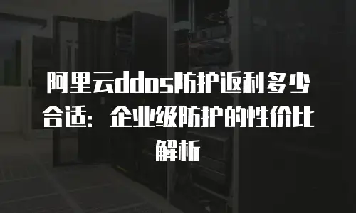 阿里云ddos防护返利多少合适：企业级防护的性价比解析