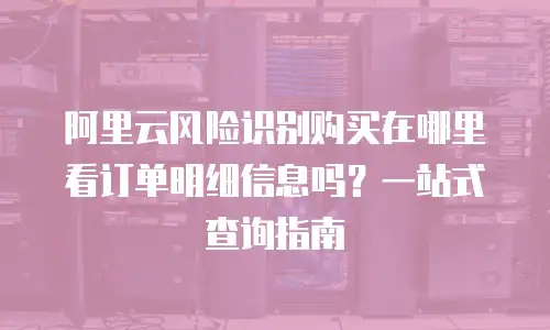 阿里云风险识别购买在哪里看订单明细信息吗？一站式查询指南