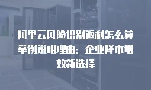 阿里云风险识别返利怎么算举例说明理由：企业降本增效新选择