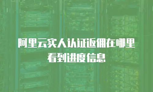 阿里云实人认证返佣在哪里看到进度信息