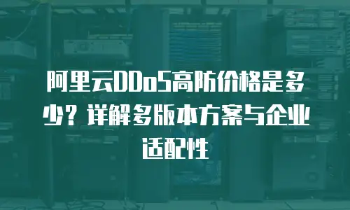 阿里云DDoS高防价格是多少？详解多版本方案与企业适配性