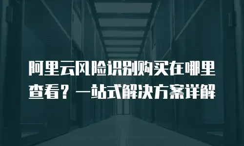 阿里云风险识别购买在哪里查看？一站式解决方案详解