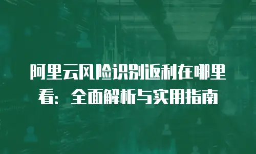 阿里云风险识别返利在哪里看：全面解析与实用指南
