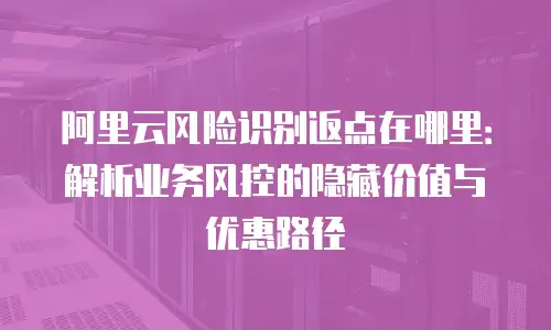 阿里云风险识别返点在哪里：解析业务风控的隐藏价值与优惠路径