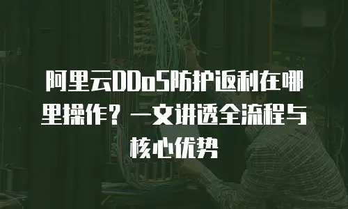 阿里云DDoS防护返利在哪里操作？一文讲透全流程与核心优势