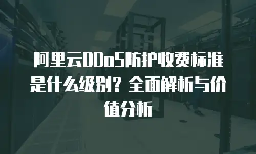 阿里云DDoS防护收费标准是什么级别？全面解析与价值分析