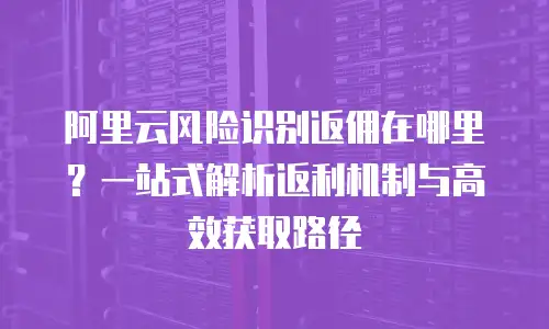 阿里云风险识别返佣在哪里？一站式解析返利机制与高效获取路径
