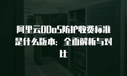 阿里云DDoS防护收费标准是什么版本：全面解析与对比