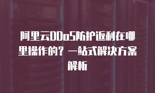 阿里云DDoS防护返利在哪里操作的？一站式解决方案解析