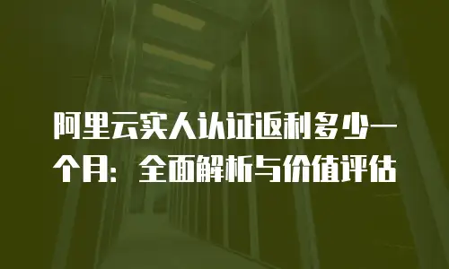 阿里云实人认证返利多少一个月：全面解析与价值评估