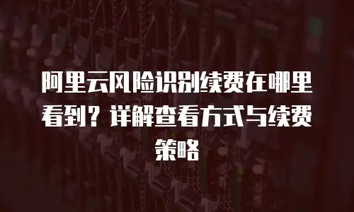 阿里云风险识别续费在哪里看到？详解查看方式与续费策略