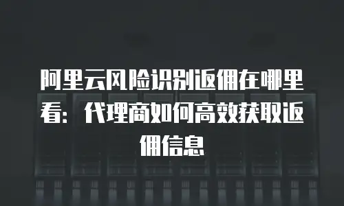 阿里云风险识别返佣在哪里看：代理商如何高效获取返佣信息