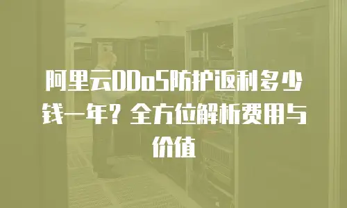 阿里云DDoS防护返利多少钱一年？全方位解析费用与价值
