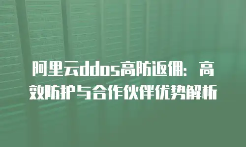 阿里云ddos高防返佣：高效防护与合作伙伴优势解析