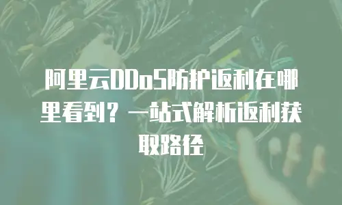 阿里云DDoS防护返利在哪里看到？一站式解析返利获取路径
