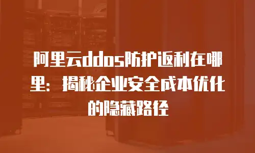 阿里云ddos防护返利在哪里：揭秘企业安全成本优化的隐藏路径