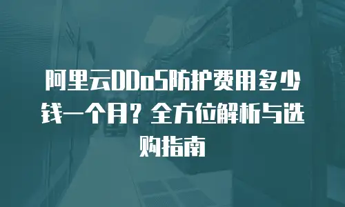 阿里云DDoS防护费用多少钱一个月？全方位解析与选购指南